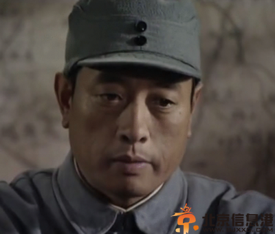 老版电视剧雪豹分集剧情介绍演员表（1-40）全集大结局