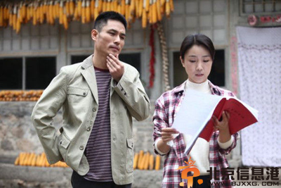 电视剧翠兰的爱情分集剧情介绍演员表1-36全集大结局