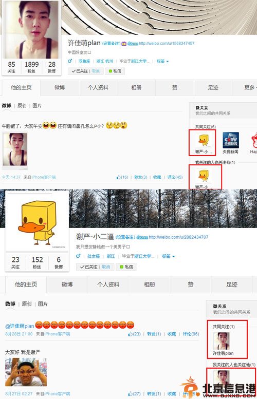 新浪微博谢严是谁 与许佳萌plan互黑曝资料照片