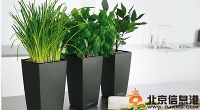 教你皮肤干燥起皮怎么办 秋天也能水水润润