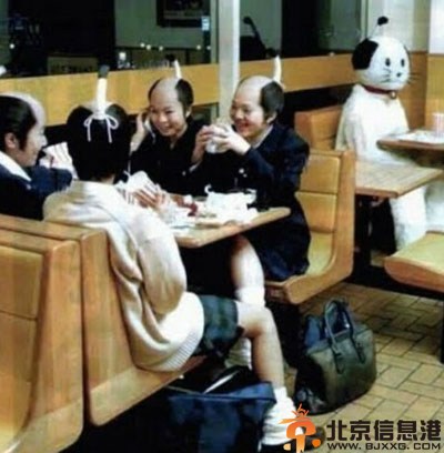 逗比哈士奇的搞笑图片 主人主人叫我干什么