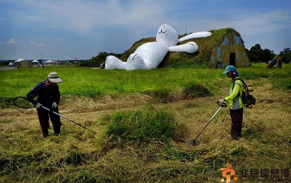 大黄鸭之父霍夫曼新作 25米大月兔迎中秋