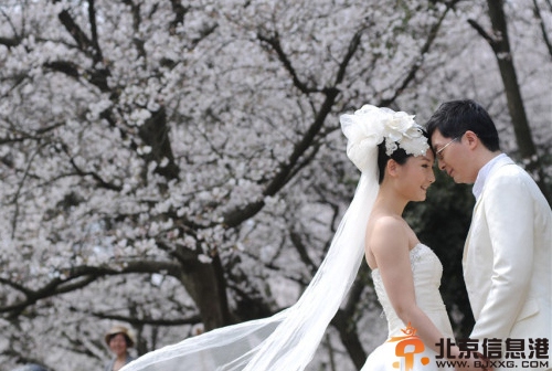 教你解决冬季婚礼的难题 打造美丽的冬季婚礼