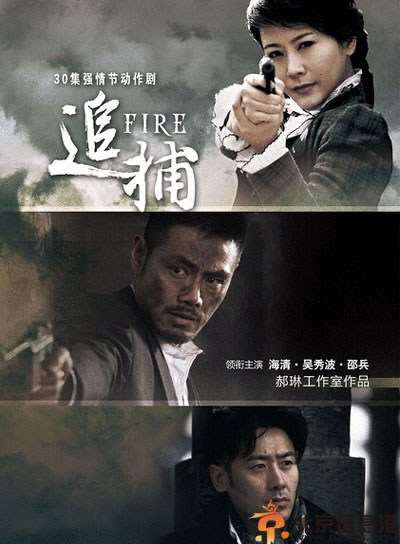 电视剧追捕分集剧情介绍演员表（1-30）全集大结局