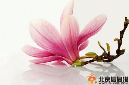 如何全身美白？达人教你最快的美白方法