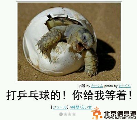 搞笑图片别问我俄罗斯怎么样 这就是战斗民族