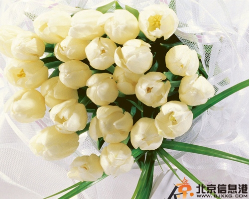 选择婚礼鲜花的注意事项 小心婚庆公司陷阱
