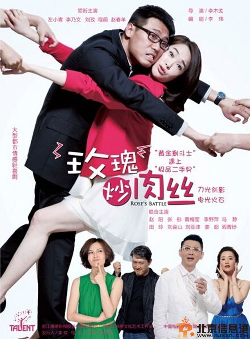 电视剧玫瑰炒肉丝分集剧情介绍演员表1-36全集大结局