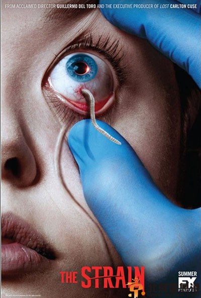 欧美剧血族分集剧情介绍演员表（1-13）全集大结局