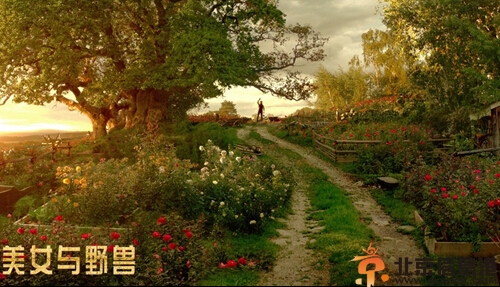 2014法国电影美女与野兽 拥有3D质感的2D电影