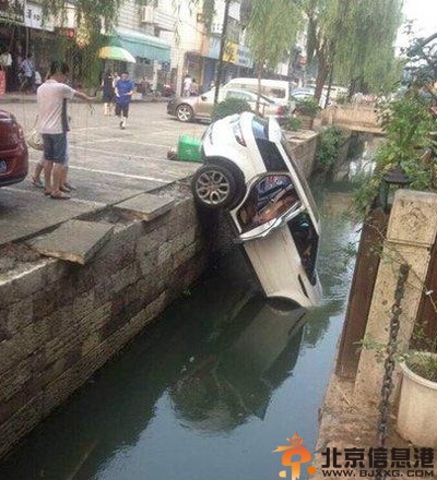 亮点图防狼必备神器 画面太美我不敢独享