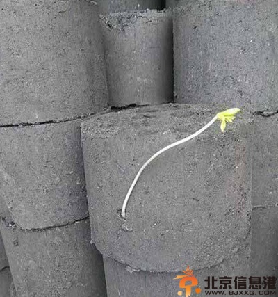 搞笑图片女神的新衣 只有诚实高尚的人才能看到