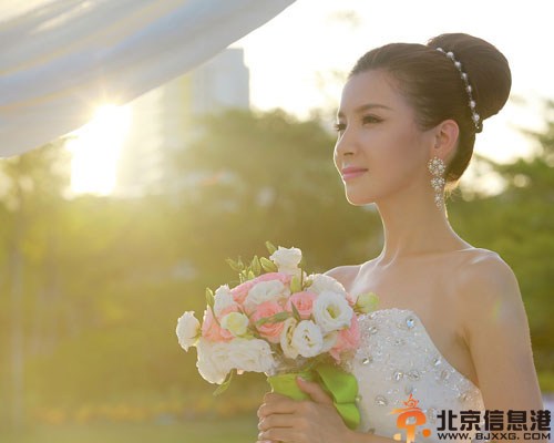 粉领女郎电视剧演员剧情介绍1-60集大结局