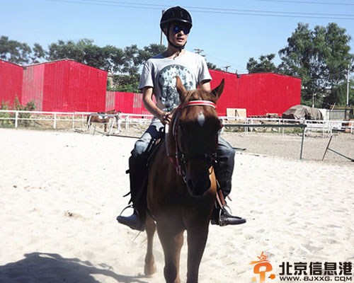 演员张钧涵演过的<a href='http://www.bjxxg.cn/ent/dianshi/' target='_blank'><u>电视</u></a>剧 首度加盟芈月传搭档孙俪