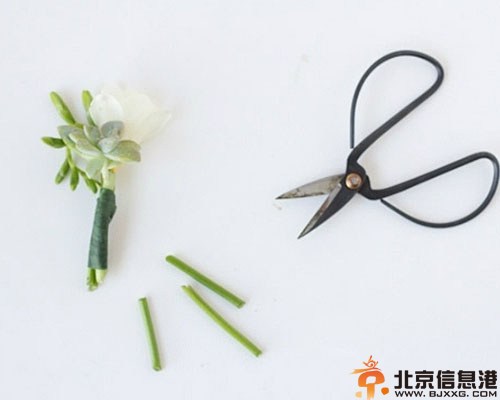 DIY多肉植物胸花教程 让你的婚礼一样很出彩