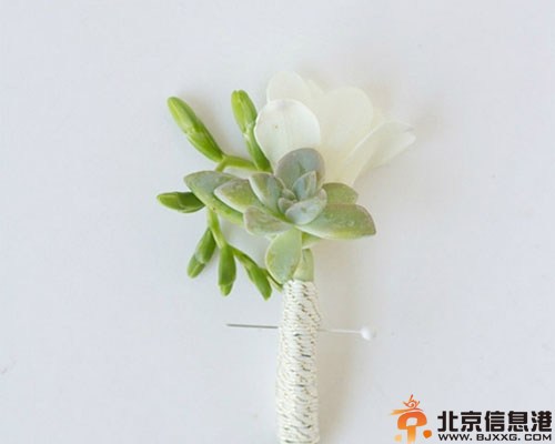 DIY多肉植物胸花教程 让你的婚礼一样很出彩
