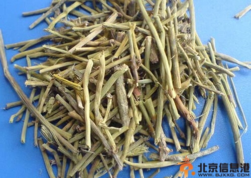 解表药有哪些 分析其主治功效性能特点