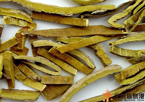 清热药有哪些 清热药常分为以下几类