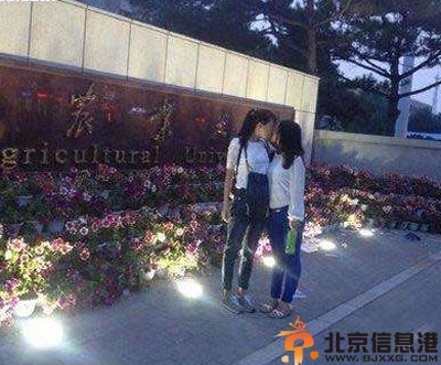 搞笑图片干的真漂亮 这是近水楼台先得月吗