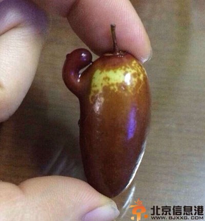 搞笑图片这个心态还想做娃娃 二师兄愿望实现了