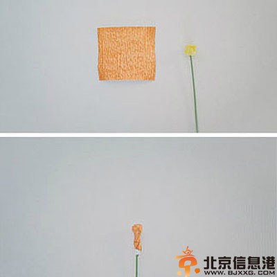DIY纸艺桌花制作步骤 不输鲜花的美貌