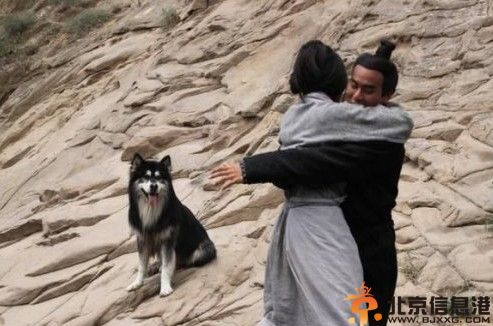 胡歌刘诗诗新剧大漠谣电视剧剧照曝光 “禁播”也要先睹为快