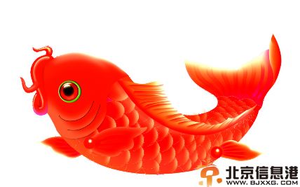 孕妇解梦大全分享 周公解梦孕妇篇