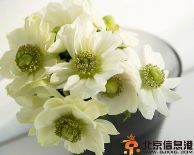 12星座要花心到多少岁 好好珍惜眼前人