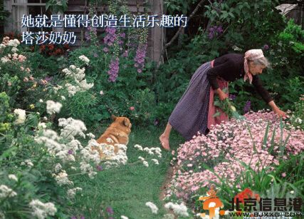 美国塔莎奶奶塔莎杜朵个人资料 其美好生活美如油画