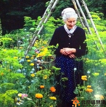 美国塔莎奶奶塔莎杜朵个人资料 其美好生活美如油画