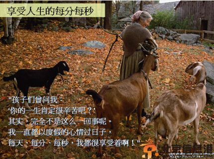 美国塔莎奶奶塔莎杜朵个人资料 其美好生活美如油画
