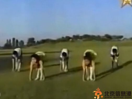 朝鲜劲舞团小苹果图片视频 原版体操神同步