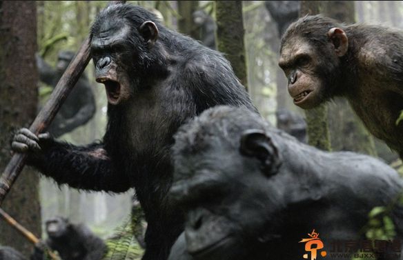 电影猩球黎明演员表剧情介绍 猩球黎明什么时候上映