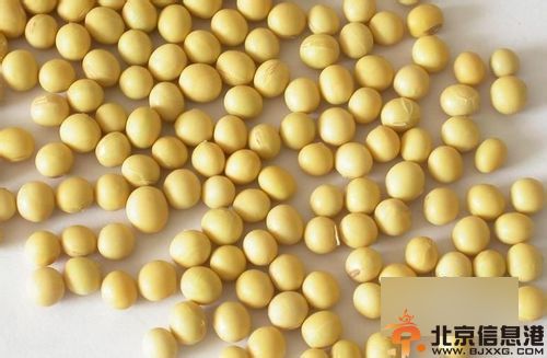 吃什么食物能丰胸 拥有傲人身材