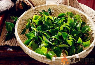 茶叶水洗脸有什么好处 清除自由基延缓衰老