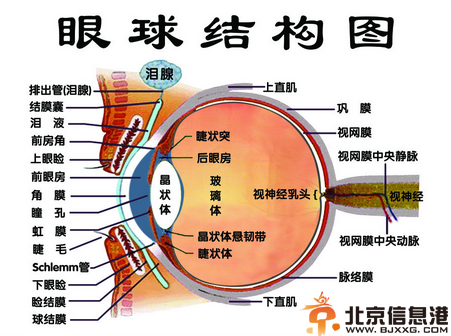 眼睛干涩怎么办 5个方法教你护住眼睛