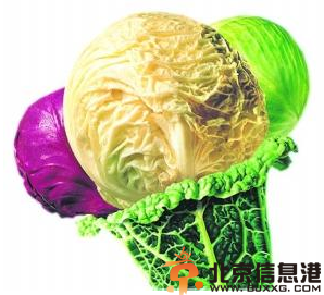 什么蔬菜可以抗癌 盘点可以抗癌的蔬菜