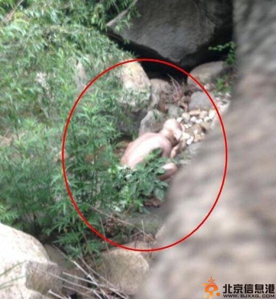 北京怀柔惊现怪兽图片 人形大耳怪兽引热议
