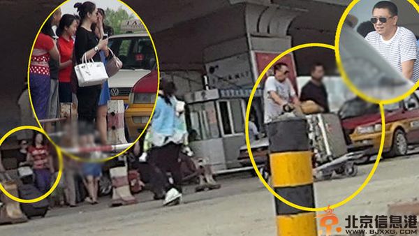 疑李小冉徐佳宁领证 两人一同前往徐佳宁来家长春