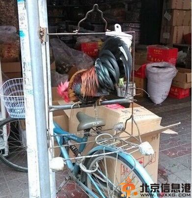 搞笑图片高端大气上档次的鞋子 不走寻常路哦
