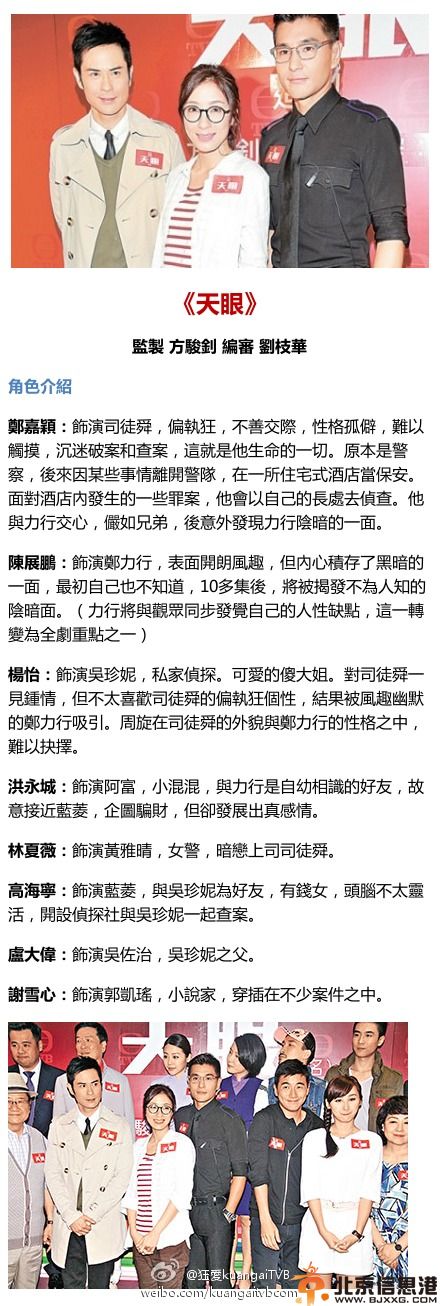 TVB电视剧天眼演员表剧情介绍 郑嘉颖杨怡携手时装警匪片