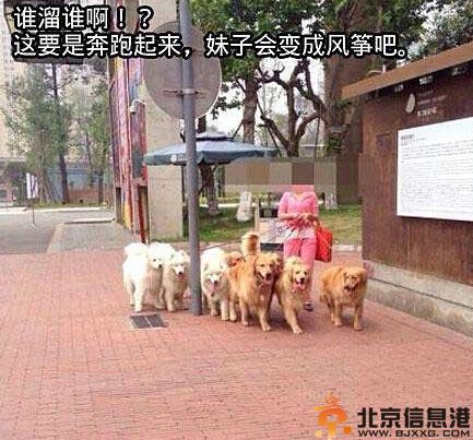 内涵笑话硬不起来 终于过上了皇帝般的生活