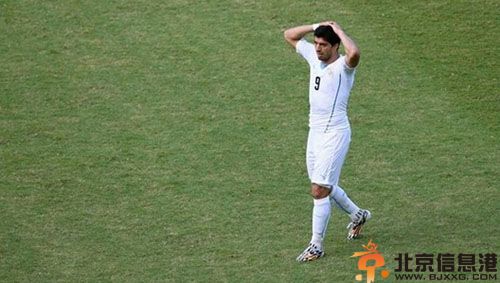 苏亚雷斯妻子索菲亚资料照片 苏亚雷斯为什么咬人受关注