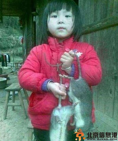 搞笑图片傲娇的喵星人 喵星人的世界里不懂