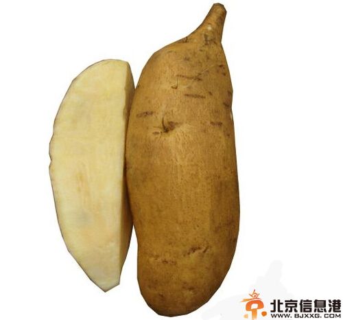 冬季吃什么养生 为身体保驾护航