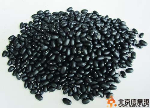 冬季吃什么养生 为身体保驾护航