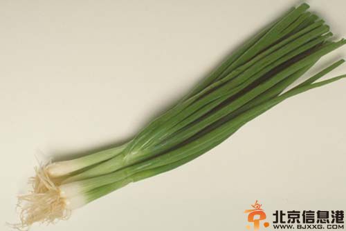 冬季吃什么养生 为身体保驾护航
