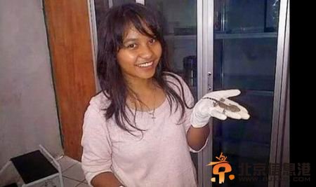 印尼怀孕女子被曝产下一只壁虎 或是“狸猫换太子”