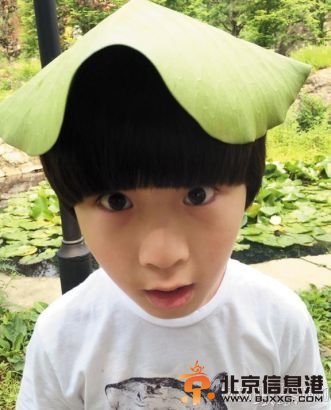 张亮：刚办好二胎证 想给天天添个妹妹