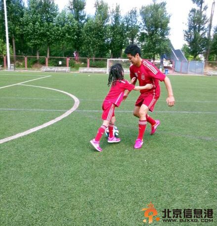 森蝶放学拔草带回家 要留着给爸爸炒着吃孝顺娃惹人爱【图】